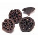 LOTUS PODS Natural (HEADER- OUT OF STOCK